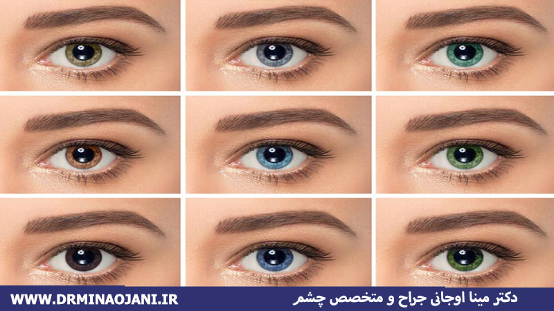 انواع لنزهای چشمی